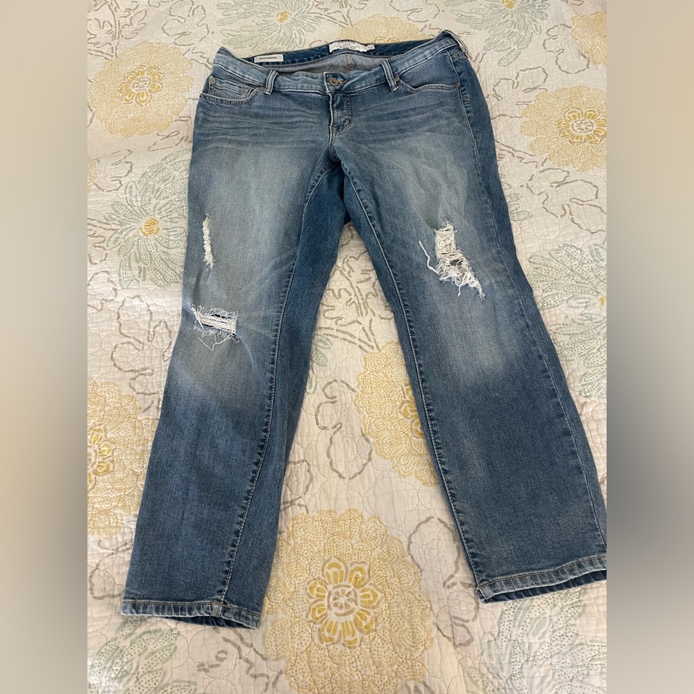 Torrid Jeans